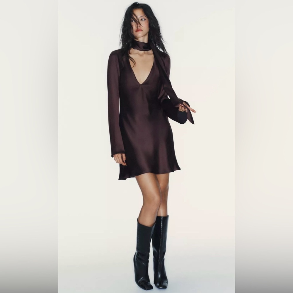 Zara Plum Mini Dress